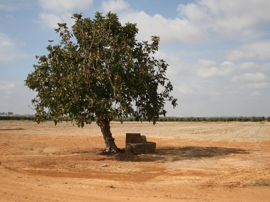 localizaciones spain 12