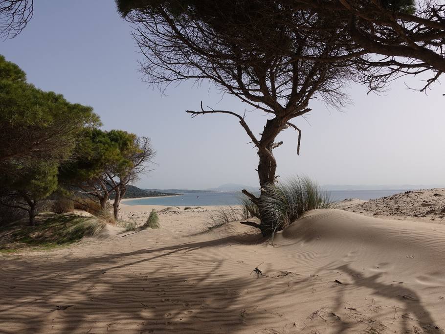 localizaciones spain 17